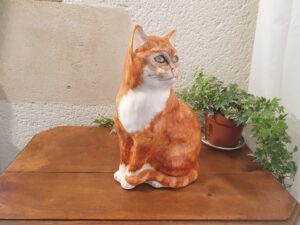 Chat roux Babbacombe